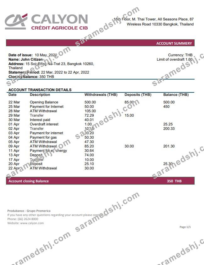 Thailand Calyon bank statement